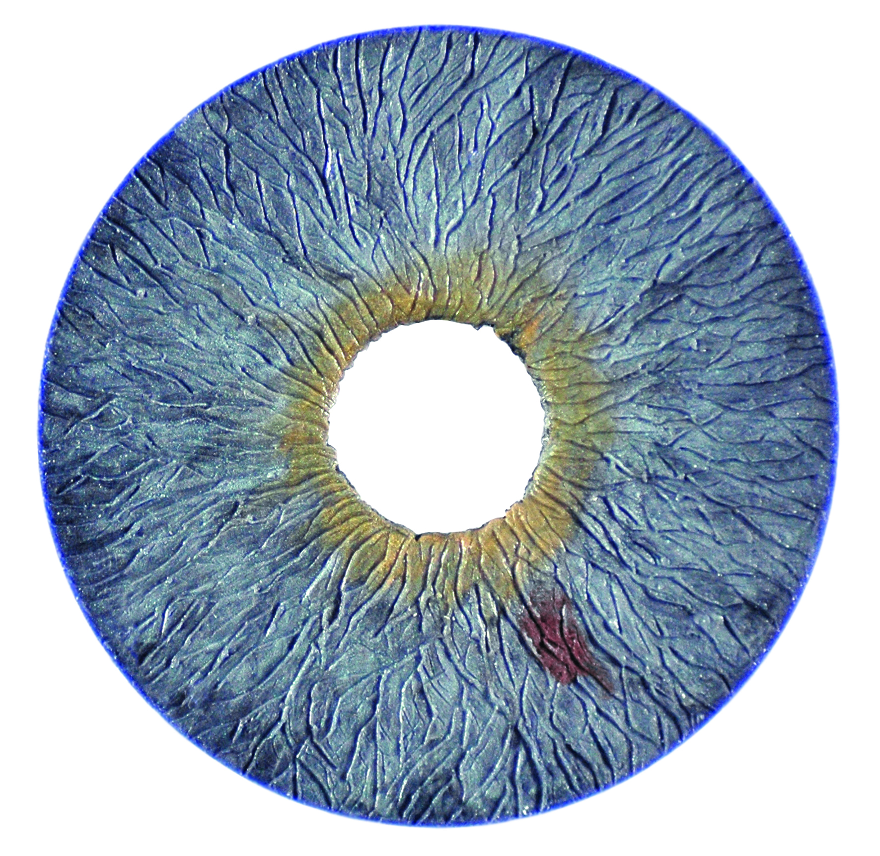 Íris Artificial Humanoptics